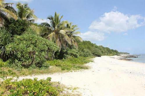 Alofa Beach Bungalows Lénakel Exterior foto